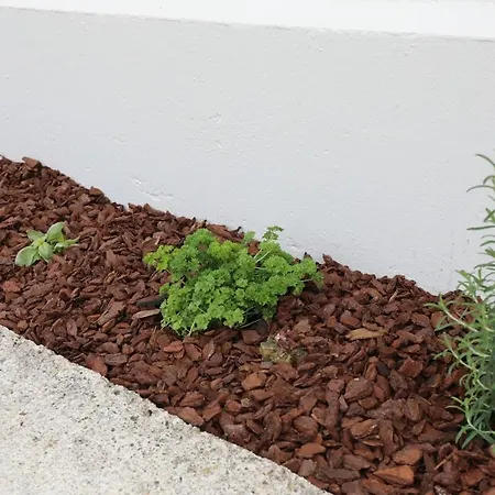 La Ptite Maison Ardennaise Rilly-sur-Aisne